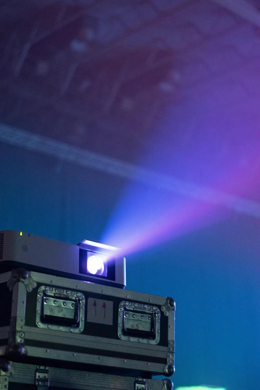 Pexels photo 20728625